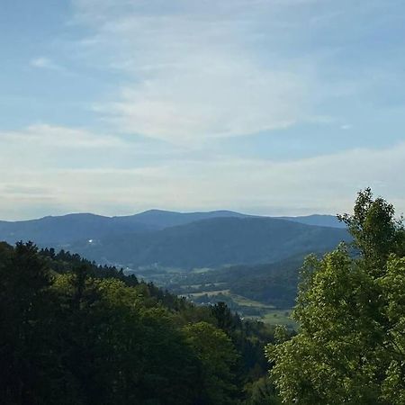 Schöfweg Urig / Mitten Im Bayerischen Wald + Schonblick + Netflix מראה חיצוני תמונה