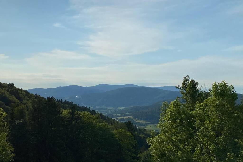 Schöfweg Urig / Mitten Im Bayerischen Wald + Schonblick + Netflix מראה חיצוני תמונה