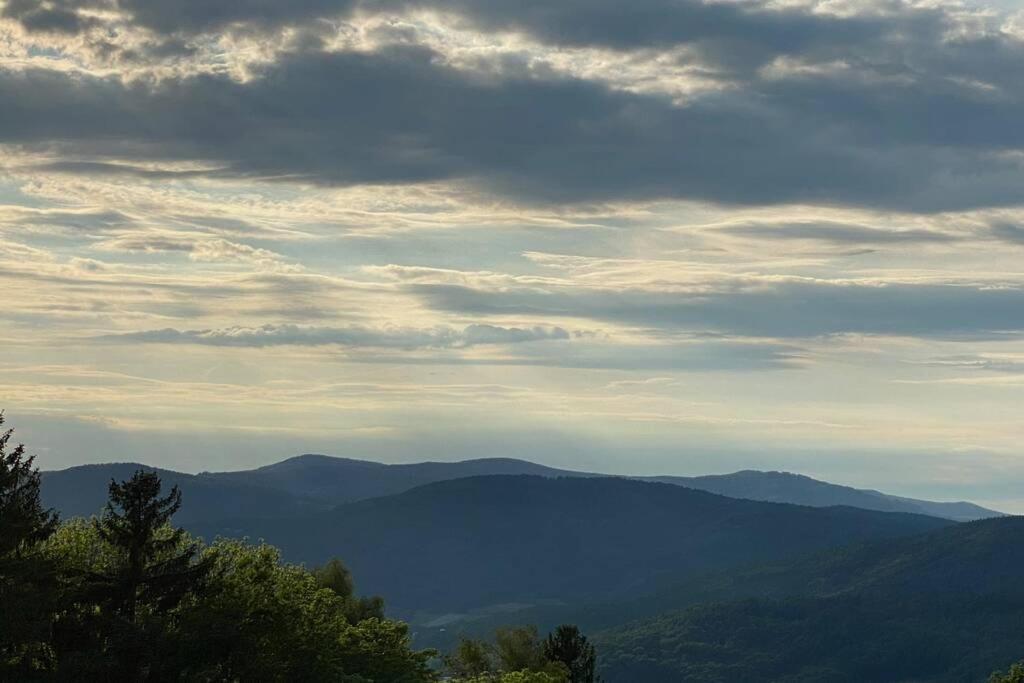 Schöfweg Urig / Mitten Im Bayerischen Wald + Schonblick + Netflix מראה חיצוני תמונה
