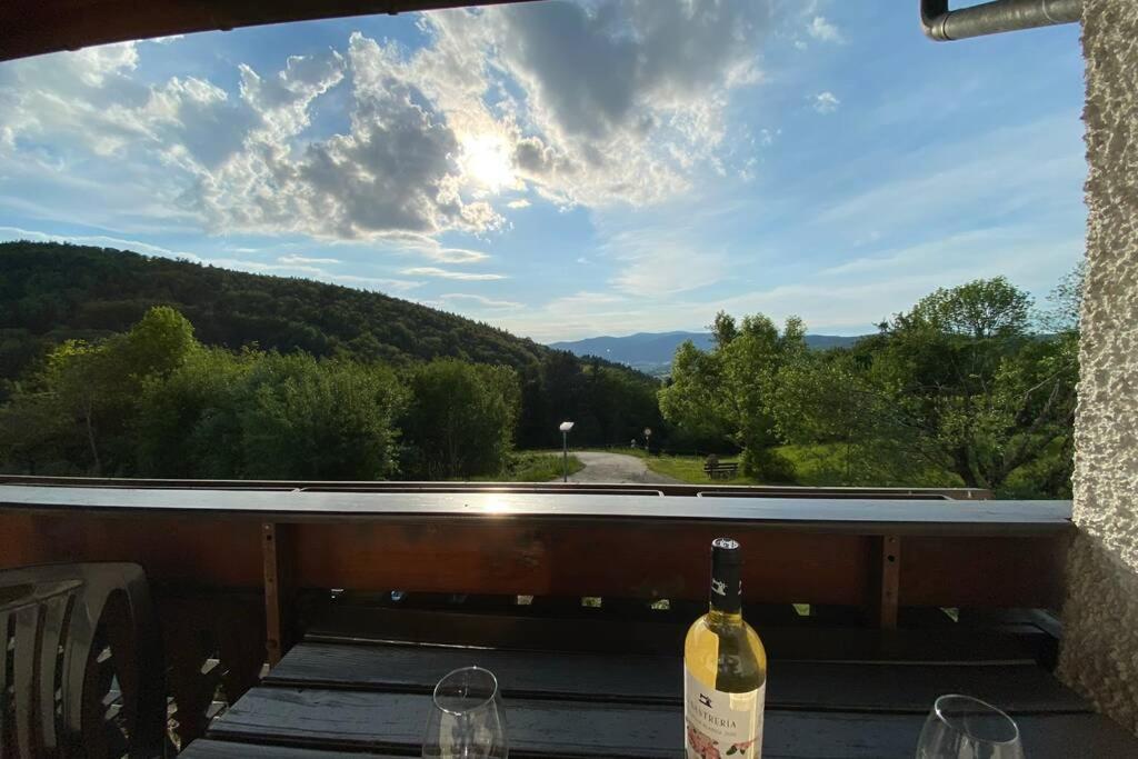Schöfweg Urig / Mitten Im Bayerischen Wald + Schonblick + Netflix מראה חיצוני תמונה
